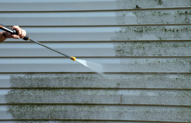Best Patio and Deck Pressure Washing  in Winston, OR